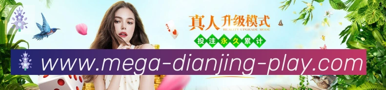 DB电竞服务体系
