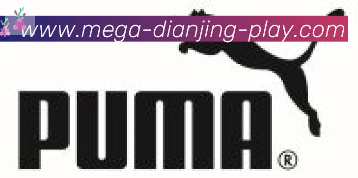 DB电竞合作伙伴